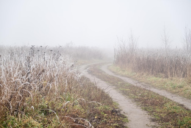 Chemin de terre courbé à travers le champ couvert d'un fin brouillard paysage du matin d'automne