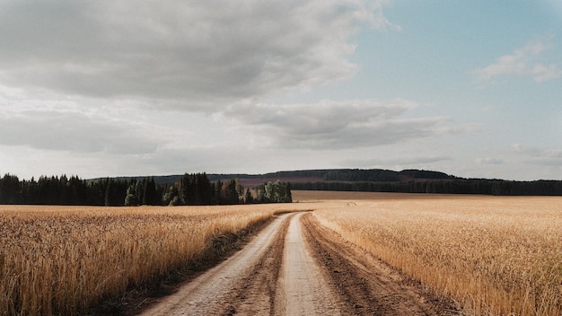 Un chemin de terre dans un champ avec un ciel nuageux