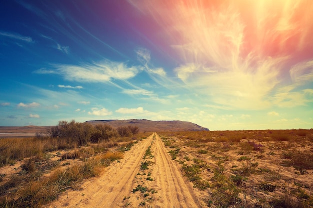 Le chemin de terre dans le désert