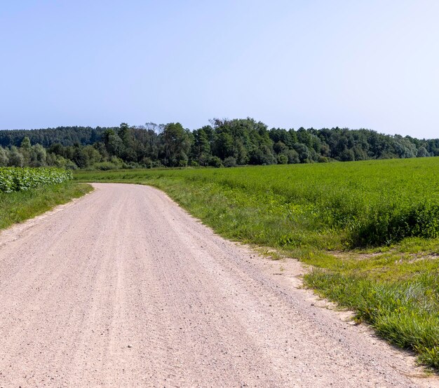 Chemin de terre dans le domaine