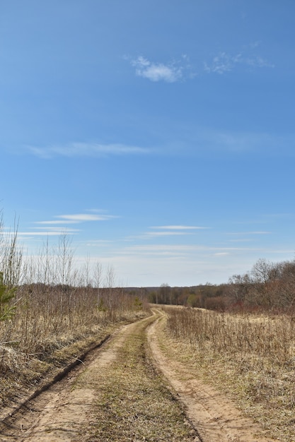 Chemin de terre dans le domaine