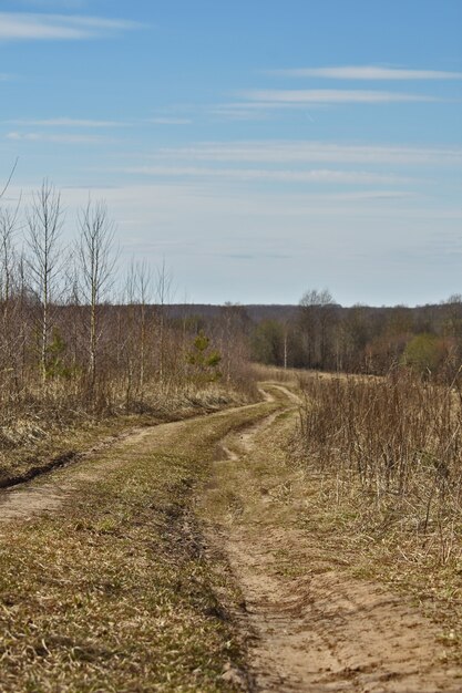 Chemin de terre dans le domaine