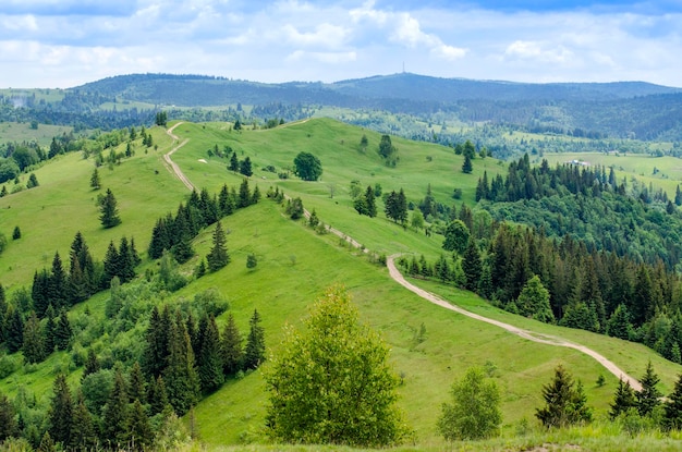 chemin de terre dans les montagnes en été