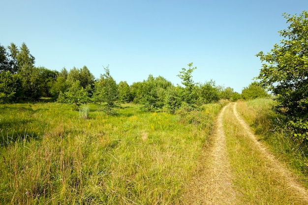 Chemin de terre disparaissant à la campagne avec une piste.