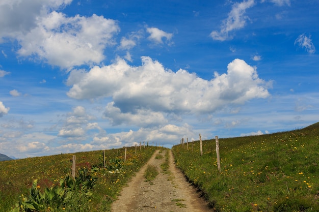 Chemin de terre entre les champs verts avec des nuages blancs