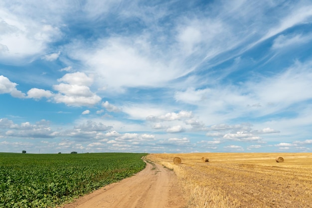 Un chemin de terre entre deux champs ruraux Champ agricole avec du blé et des betteraves Balles de foin dans un champ sous un beau ciel bleu et des nuages duveteux Paysage rural d'été Agrotourisme