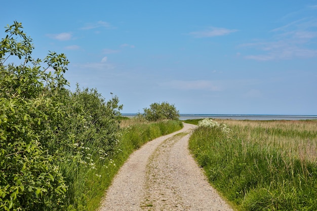 Chemin de terre et herbe verte à la campagne pour l'agriculture de voyage ou l'environnement naturel Paysage de végétation luxuriante ou autoroute agricole avec ciel bleu pour la durabilité dans la nature