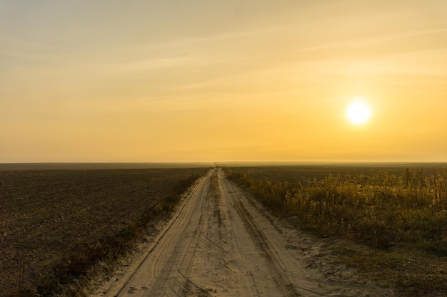 Chemin de terre le long du champ et ciel jaune le matin d'automne