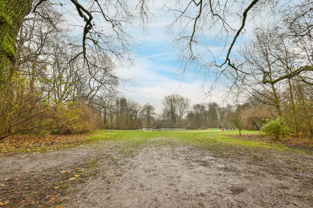 Un chemin de terre menant à un parc arboré