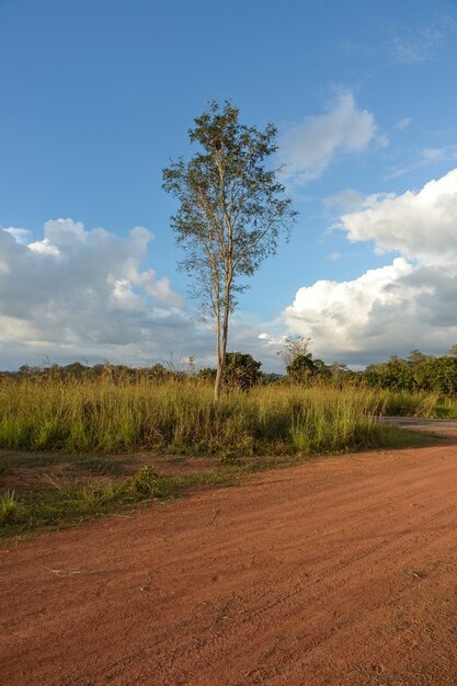 Chemin de terre en pays