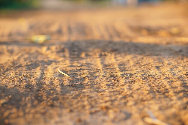 Chemin de terre avec piste de roulement