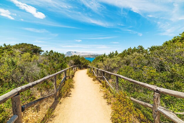 Chemin de terre à la plage de Costa Smeralda Sardaigne