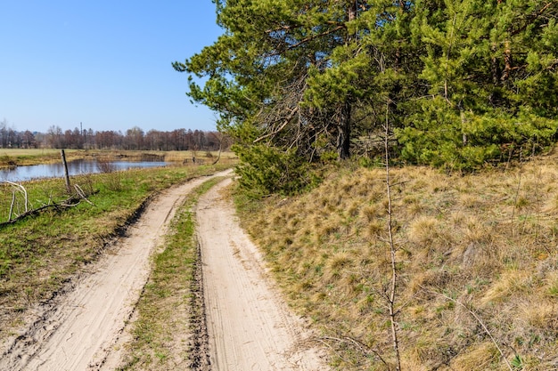 Chemin de terre près de la forêt au début du printemps