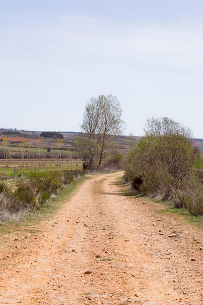 Chemin de terre rural en Castilla y Len