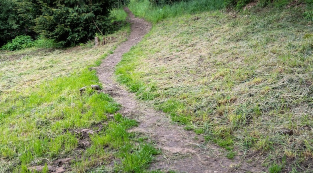Chemin de terre sinueux à travers une colline herbeuse