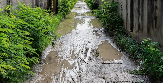 Chemin de terre avec traces de pneus