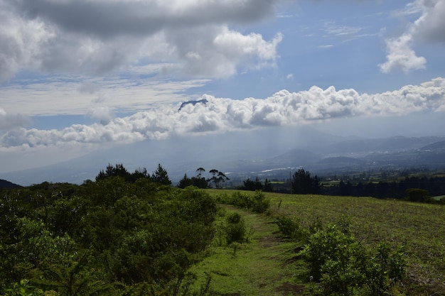 Photo chemin de terre à travers la forêt autour de laguna cuicocha magnifique lagon à l'intérieur du cratère du volcan cotacachi