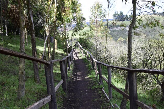 Photo chemin de terre à travers la forêt avec garde-corps en bois lagon laguna cuicocha à l'intérieur du cratère du volcan cotacachi