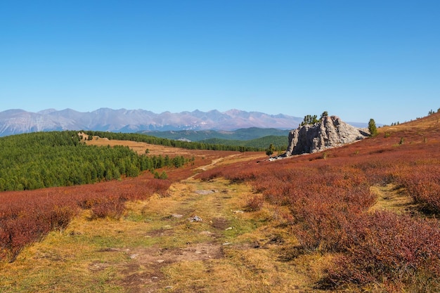 Chemin de terre à travers le plateau de montagne ensoleillé d'automne Terre rugueuse