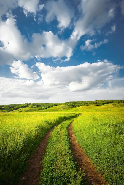 Chemin de terre à travers les vertes prairies Paysage d'été