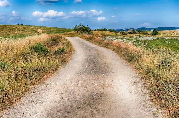 Chemin de terre traversant des champs secs dans la campagne en Toscane, Italie. Concept pour l'agriculture et les terres agricoles