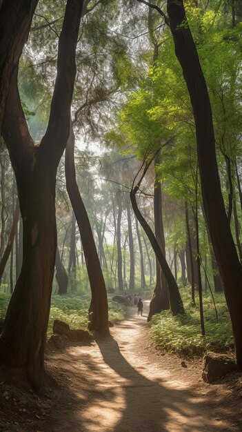 Un chemin à travers les bois avec un arbre sur le côté gauche.