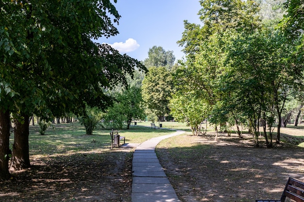 un chemin à travers un parc avec des arbres et un chemin qui y mène.