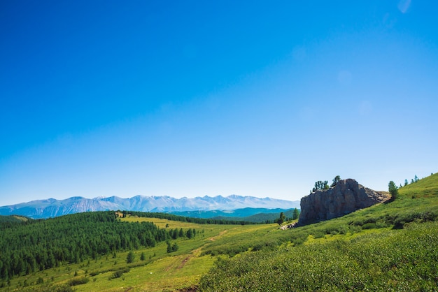 Chemin vers les montagnes géantes à travers la vallée verte et la forêt. Prairie avec une riche végétation de hautes terres et une pierre rocheuse inhabituelle avec des cèdres. Conifères au soleil. Paysage de montagne incroyable.