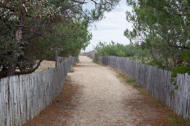 Chemin vers la plage de sable dans l'océan