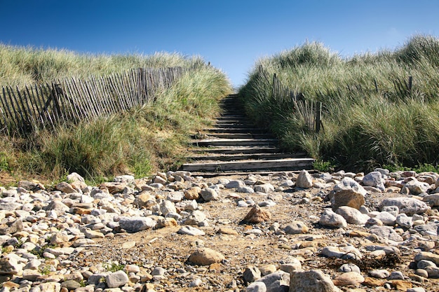 Un chemin vers la plage