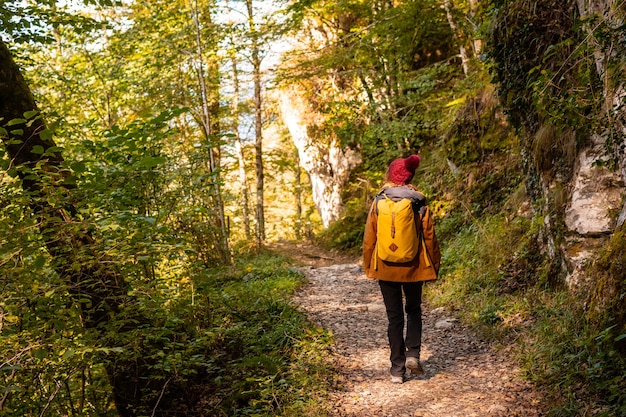 Photo chemin vers le pont suspendu de holtzarte, larrau. dans la forêt ou la jungle d'irati, pyrénées-atlantiques de france