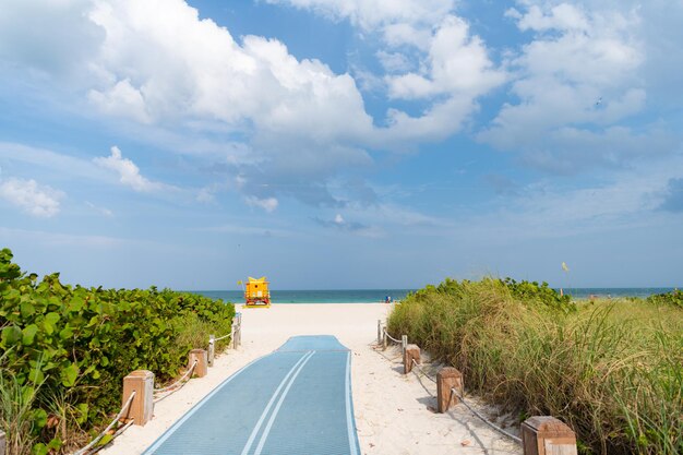 Chemin vide menant à la plage d'été