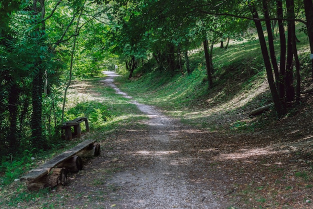 Un chemin avec un vieux banc en bois dans le parc de la biodiversité de la Valpolicella