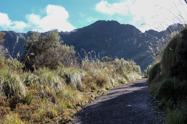 Photo le chemin