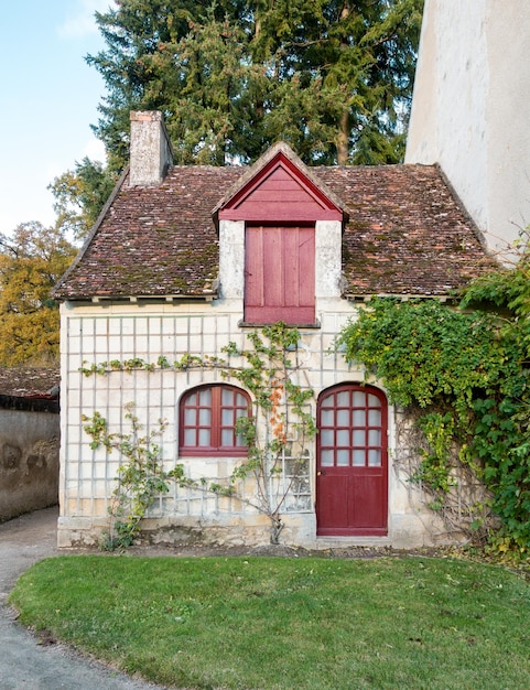 Cheminée en pierre maison plante lierre en campagne