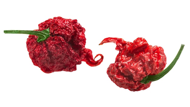 Chemins de poivrons carolina reaper séchés