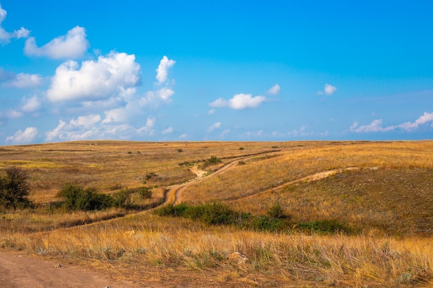 Chemins de terre de steppe avec herbe sèche et ciel bleu Paysage de steppe d'été