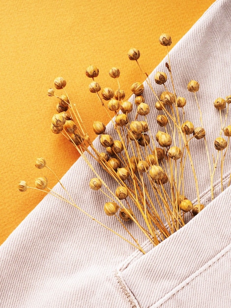 Chemise en jean beige et fleurs en lin en gros plan à plat pour voir Concept de tissus en lin durable naturel Fond de vêtements décontractés confortables Tissus fabriqués à partir de matériaux recyclés