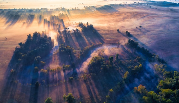 Le chenal et les méandres de la rivière sur une prairie marécageuse Herbe sèche orangée brûlée par la chaleur estivale et le brouillard matinal Un paysage magnifique à l'aube Vue de drone