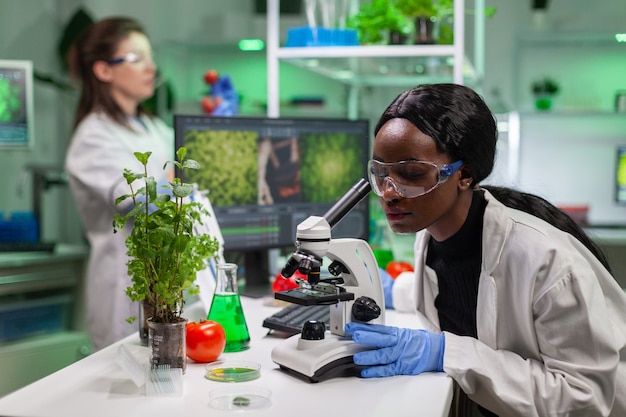 Chercheur biologiste scientifique regardant un échantillon de feuilles au microscope médical tout en écrivant une expertise biologique sur le bloc-notes