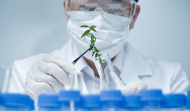 Chercheur mâle asiatique recherchant des spécimens de plantes en laboratoire.