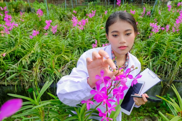 Des chercheurs sur les orchidées féminines explorent et documentent les caractéristiques des orchidées dans le jardin