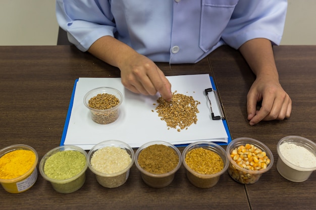 Les chercheurs trient le maïs pour contrôler la qualité des matières premières.