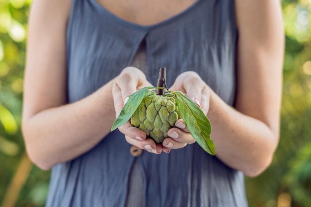 Cheremoya dans de belles mains féminines sur fond vert