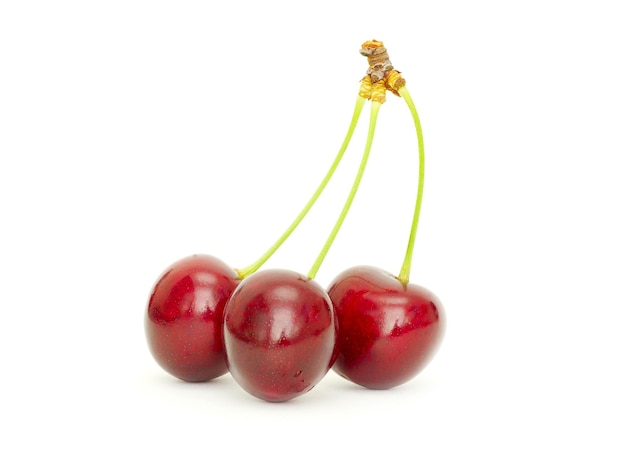 Cherry