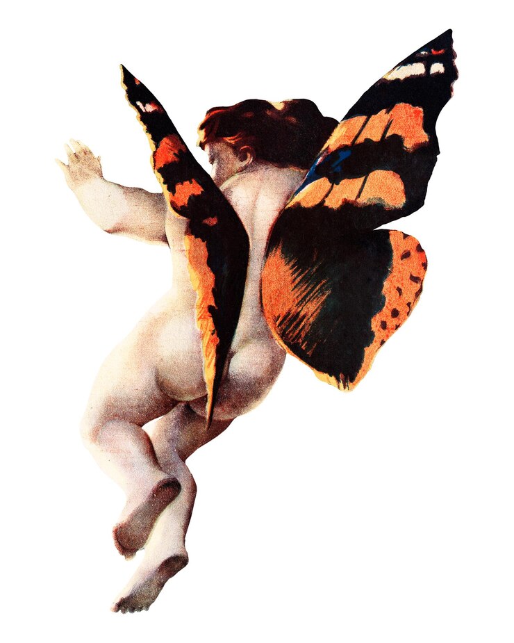 Photo le chérubin ailé papillon