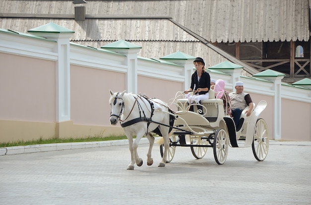 Cheval blanc avec chauffeur de fille dans un chariot à chapeau noir avec des gens de la ville