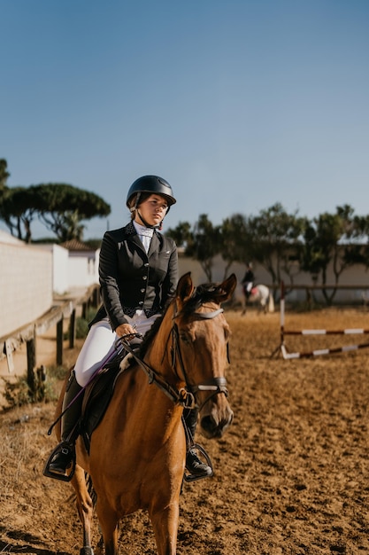 Cheval brun de jogging de 17 ans avec équipement équestre à l'école d'équitation