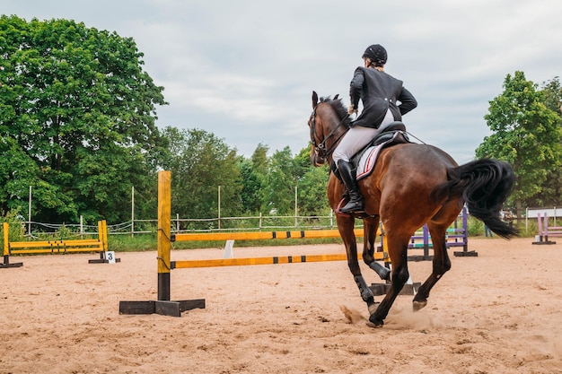 Cheval et cavalier de saut d'obstacles