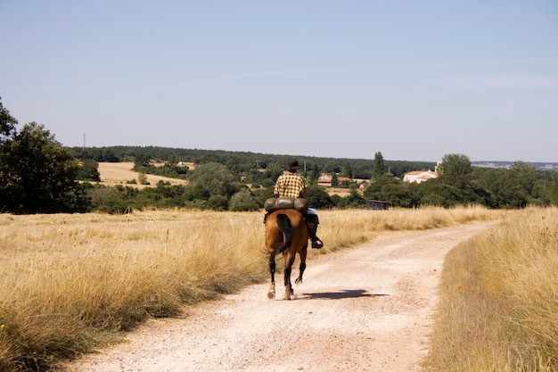 Cheval de cavalier